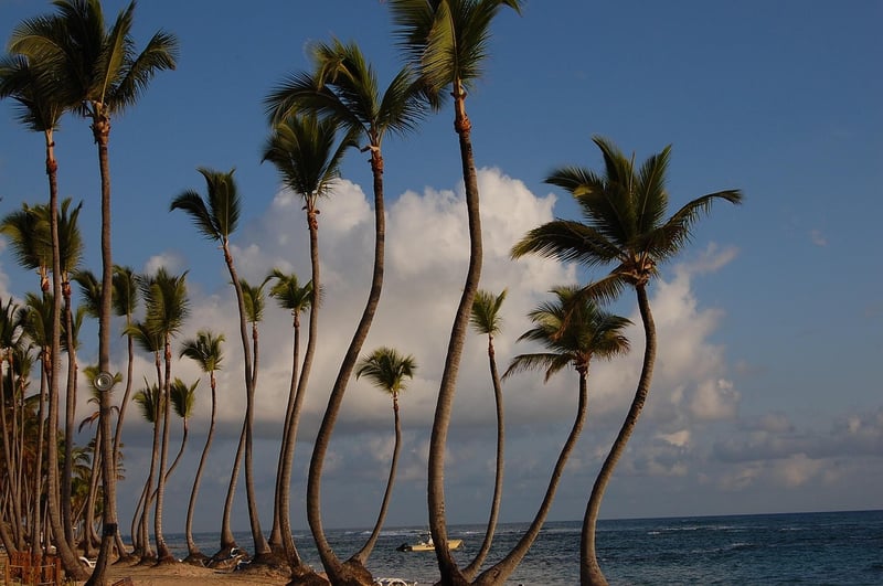 Caribbean Beach